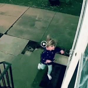 Meet your Posher, Dawson